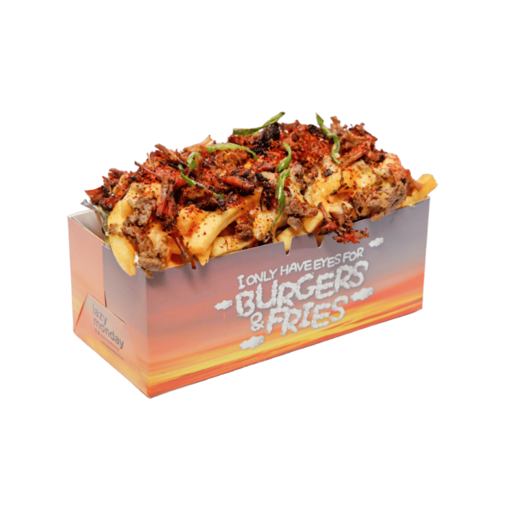 CHILLI SMOKED BEEF BRISKET CHEESE FRIES